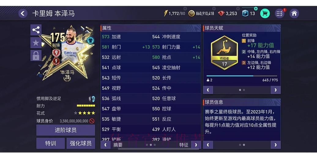 世界杯外围平台会员等级专属权益全面解析